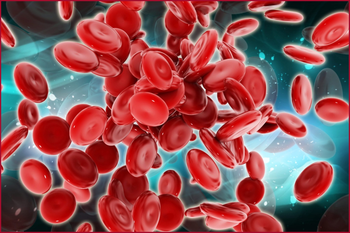 Thalassemia - bệnh thiếu máu tan máu bẩm sinh