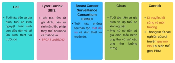 Mô hình dự đoán nguy cơ ung thư vú
