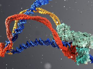 Di truyền biểu sinh (epigenetics)