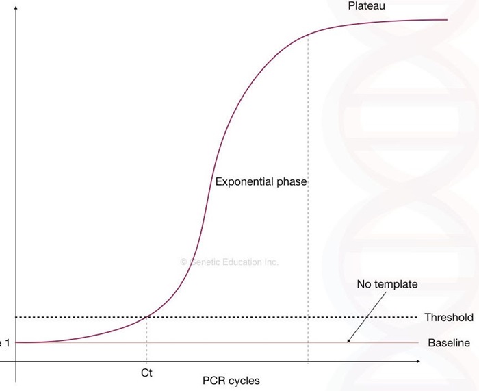 Real time PCR